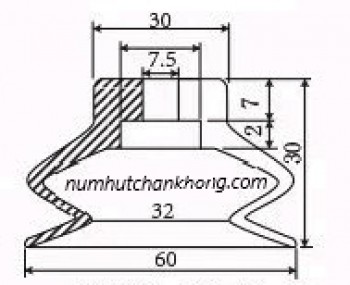 HSP-60-2